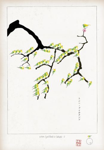 II - White Eyed Birds in Sakura by Tony Fernandes